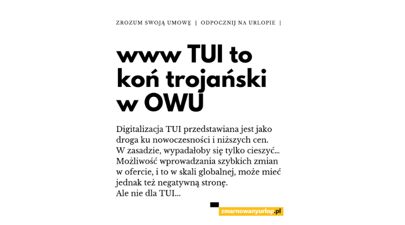 TUI wykorzystuje Internet. Ale czy także klientów?